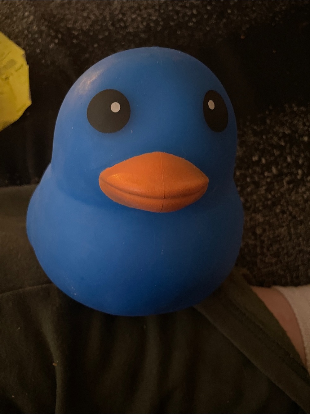 Blue Rubber Duck squishy